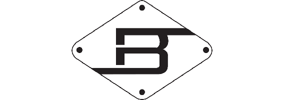 logo berchex auto header